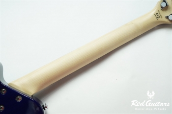 PGG-200FM SBL